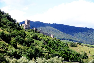 CRUISING THE WACHAU