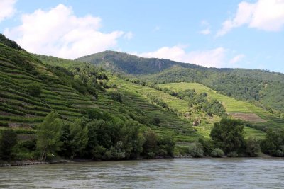 CRUISING THE WACHAU