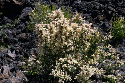 NEWBERRY NATIONAL VOLCANIC MONUMENT