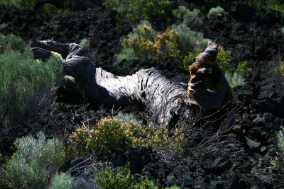 NEWBERRY NATIONAL VOLCANIC MONUMENT