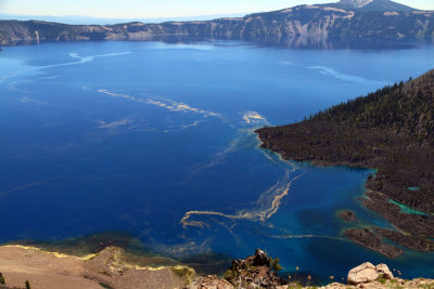 FLOATING POLLEN ON CRATER LAKE