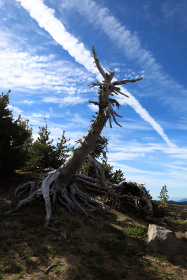 CRATER LAKE