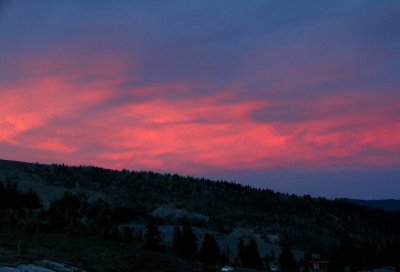 LE GRAND CRU OREGON