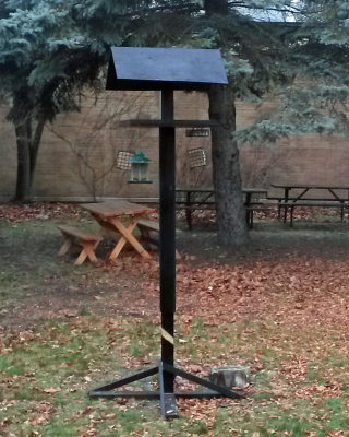 The Bell High School bird feeding station