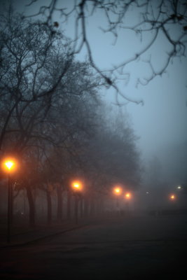 Fog_12.JPG
