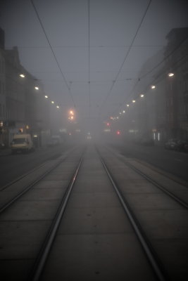 Fog_14.JPG