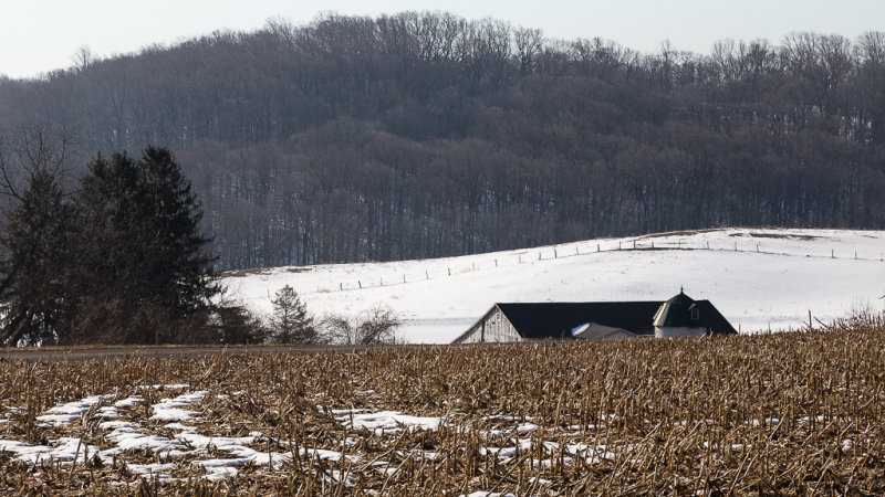 Granogue Estate Barn 8MAR2014.jpg