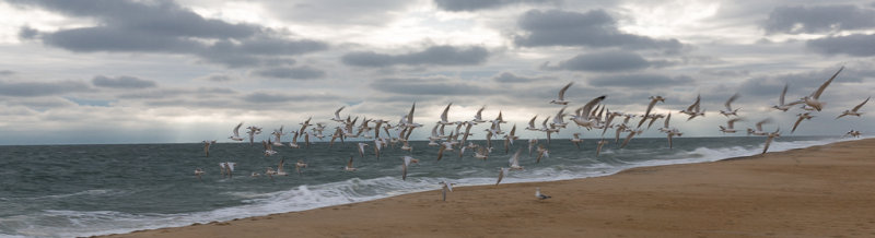 Motion Over The Ocean-07009.jpg