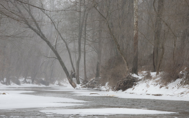 WhiteClaySnowMoreInTheFore-02278.jpg