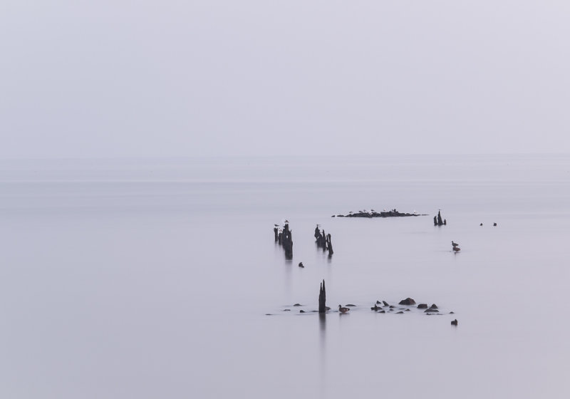 Woodland Beach 38 seconds-5710.jpg