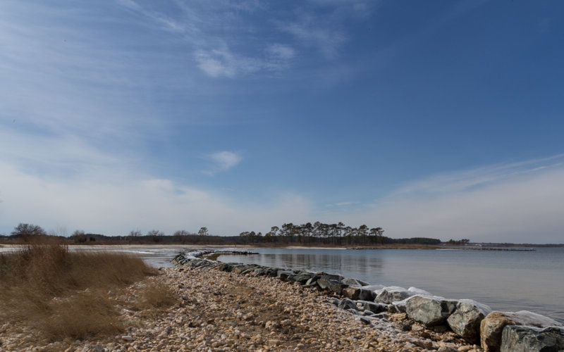 Kent Island-6634.jpg
