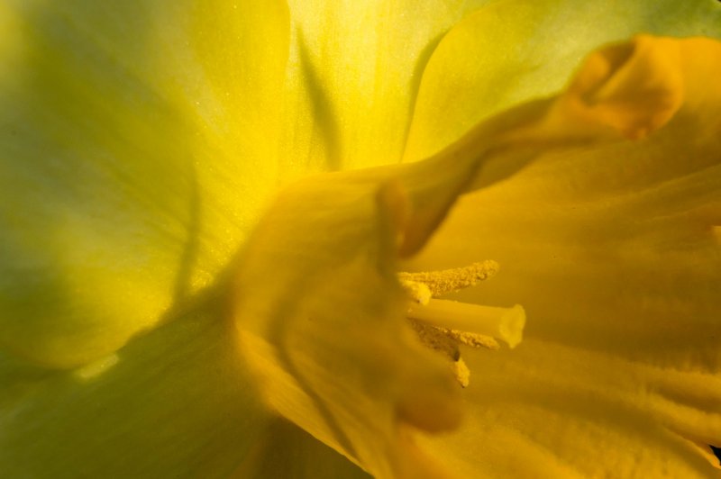 MorningMacroMadness-04269.jpg