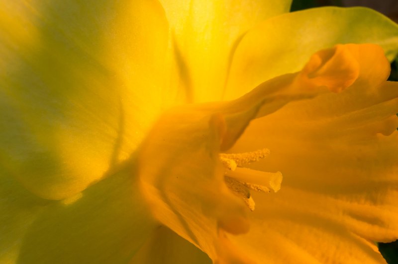 MorningMacroMadness6-04268.jpg