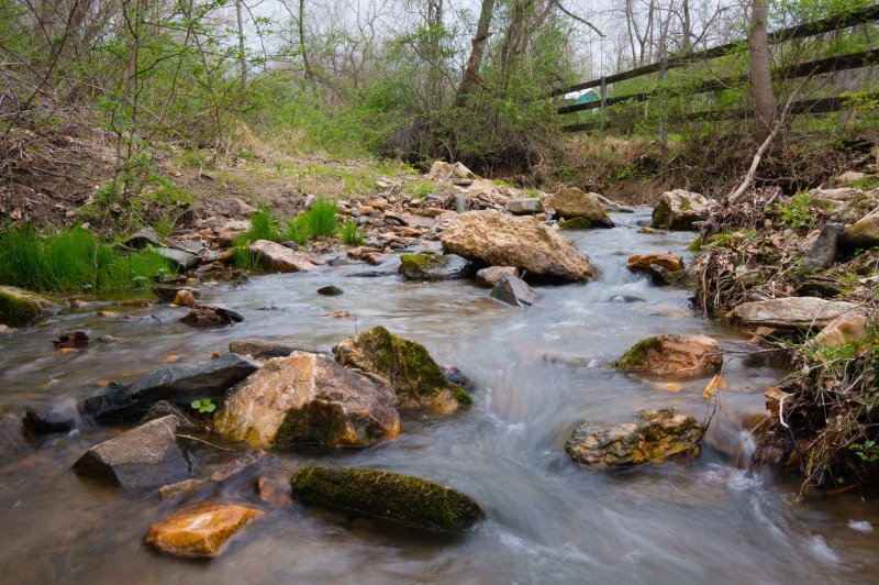 stream 1FairHill-04424.jpg