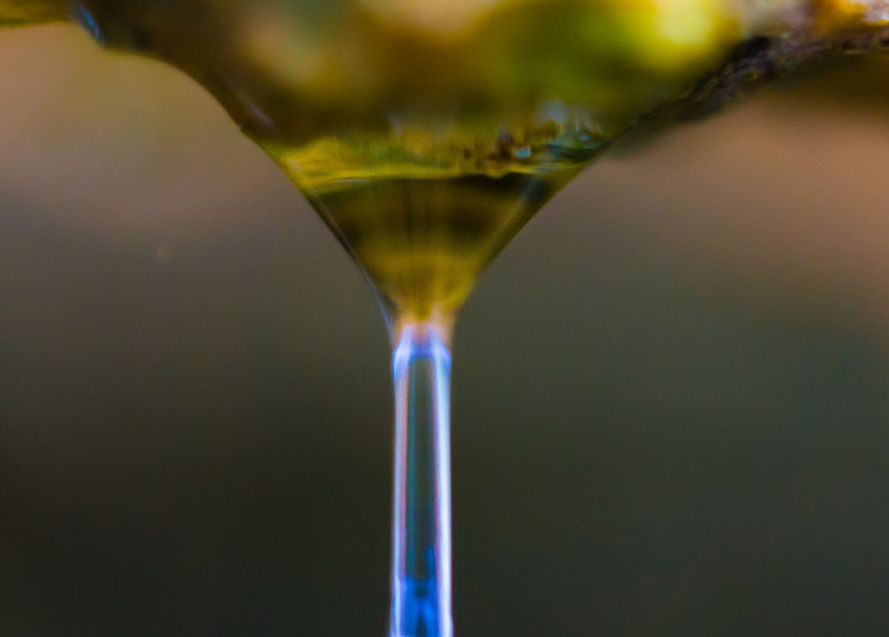 dropped drip FairHill-04403.jpg