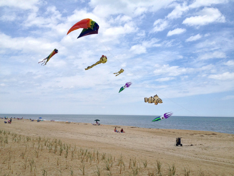 Kites-56.jpg