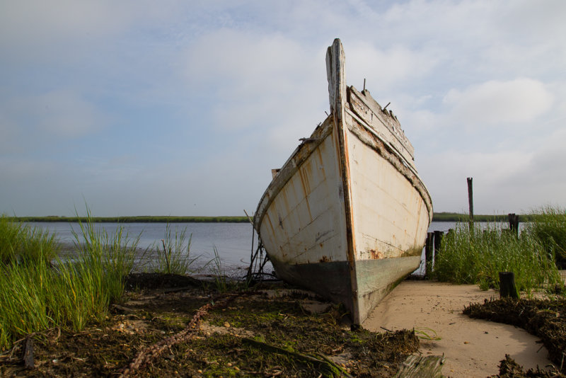 CoastalZone4-8246.jpg