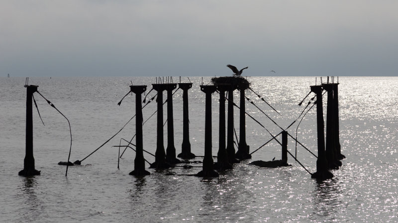 CoastalZone3-8237.jpg