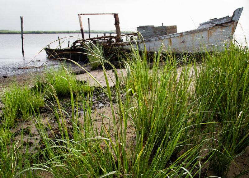 CoastalZone5-8251.jpg