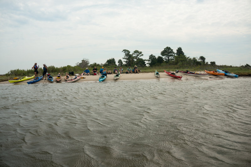 JanesIslandSaturday-06446.jpg