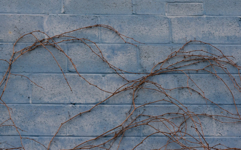 Blue Wall-07572.jpg