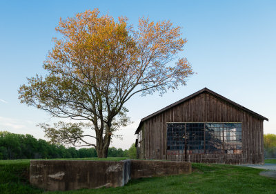 FairhillLightInTreeWithShed-2496.jpg