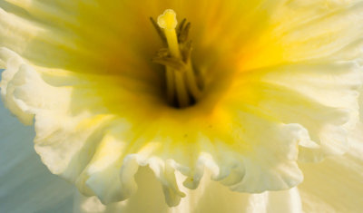 MorningMacroMadness3-04254.jpg