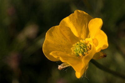 MorningMacroMadness4-04275.jpg