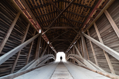 Fairhill duck in the bridge-9904.jpg