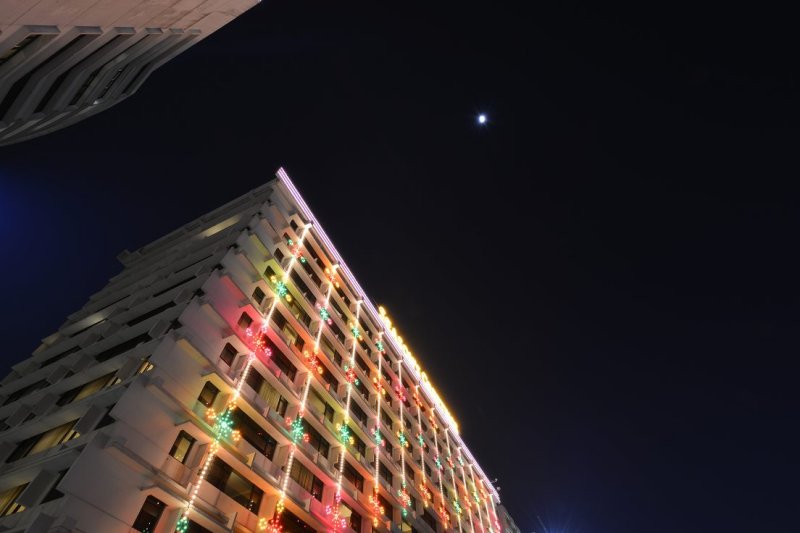 y024.jpg