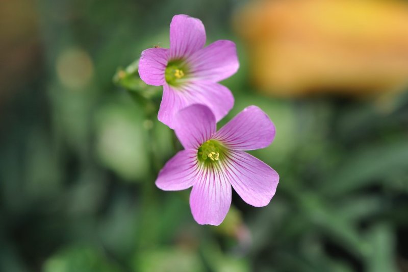 ae053.jpg