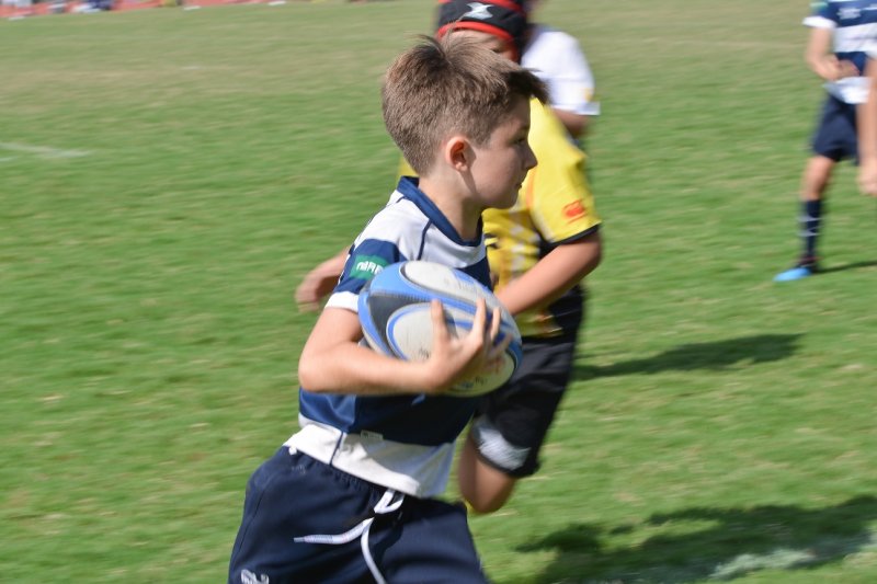 ax024.jpg