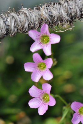ae054.jpg