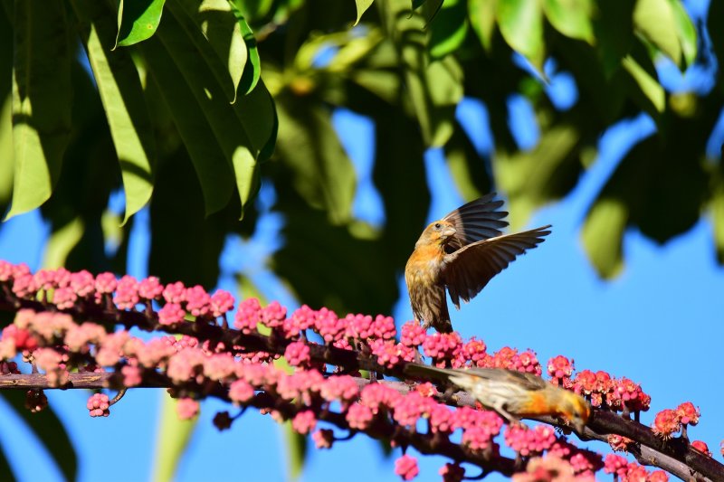 Stretching My Wings (06/14/2015)