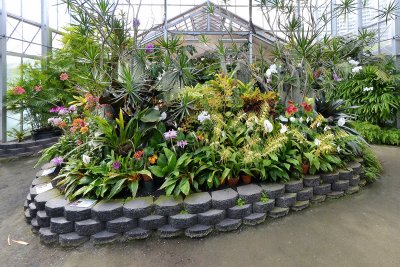 Foster Garden greenhouse - defished using DxO and Pano Warp