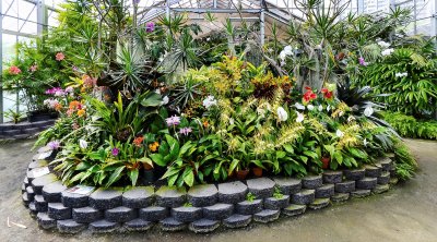 Greenhouse Centerpiece Display (taken on 04/19/2015)