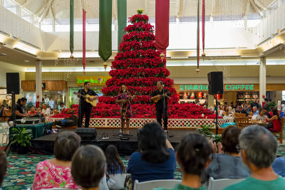 Raiatea Helm performing at Kahala Mall (taken on 11/26/2016)