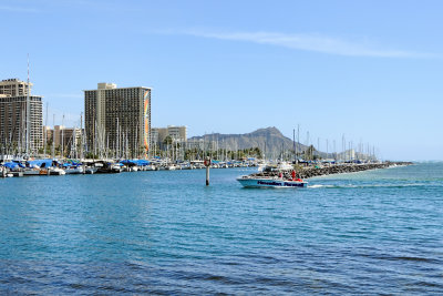 Hawaiian Parasail (taken on 02/07/2017)