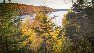 Fall Colors on the Saint Croix River