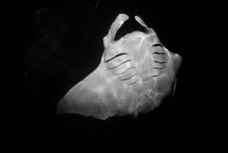 g9/69/207069/2/153063232.0QIbwgdc.jpg