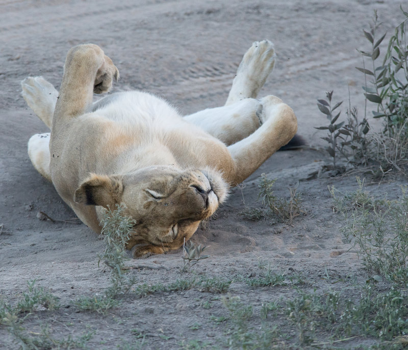 Tanzania 2015