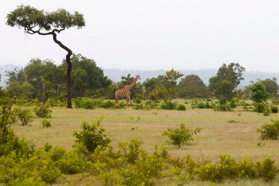 Rovos Africa-2015_029.jpg