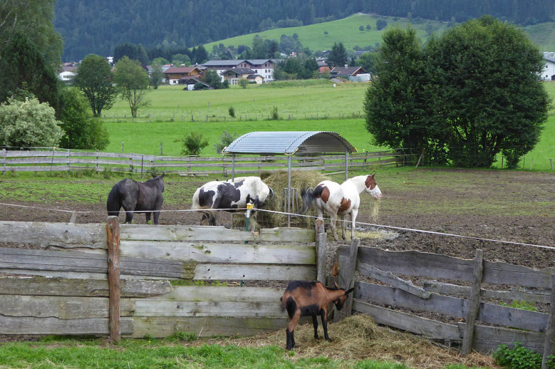 Zell am See Neighborhood12