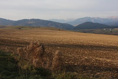 Slovakian Landscape 11
