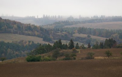 Slovakian Landscape 2