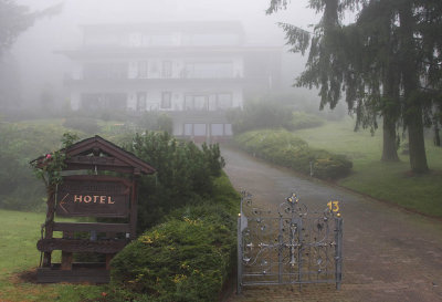 Morning Mist on Petrisberg