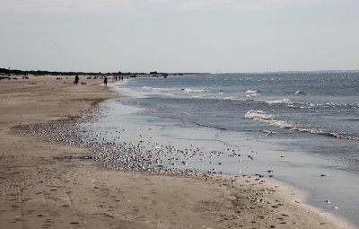 Blavand western point of Denmark