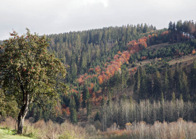 Slovakia autumn