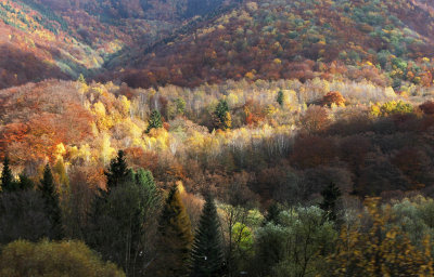 Slovakia Autumn4
