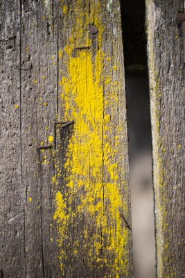 IMG_5233.jpg